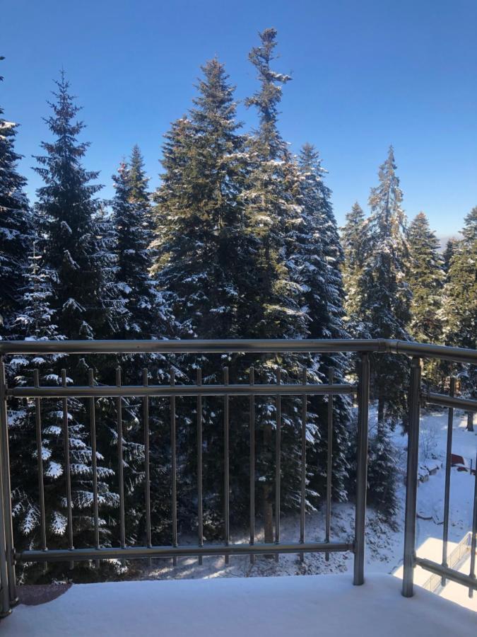 Flora Apartment 612A Borovets Exteriör bild